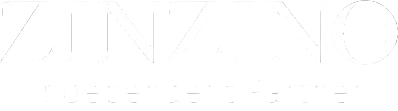 Zinzino Independent Partner